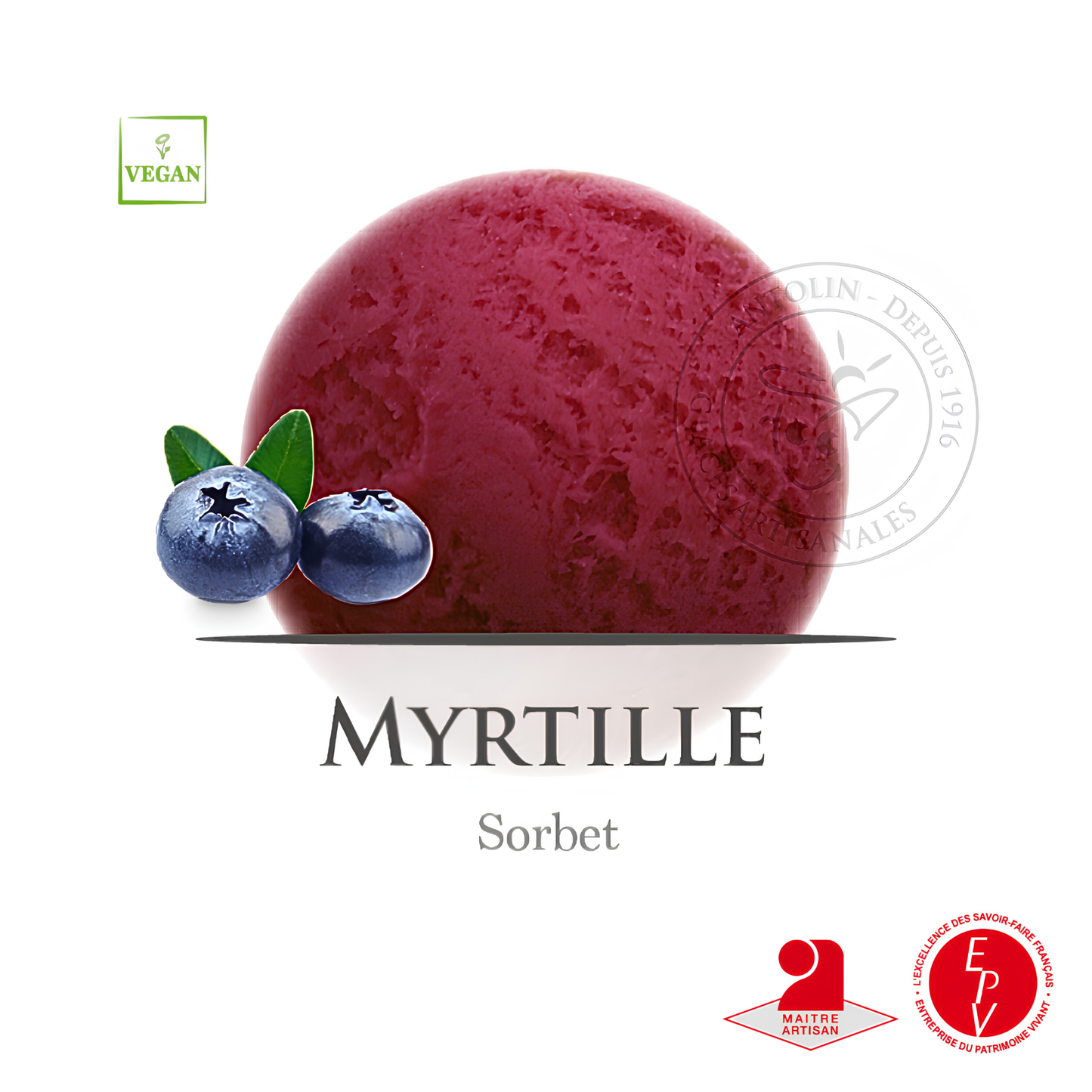 Sorbet Antolin saveur Myrtille