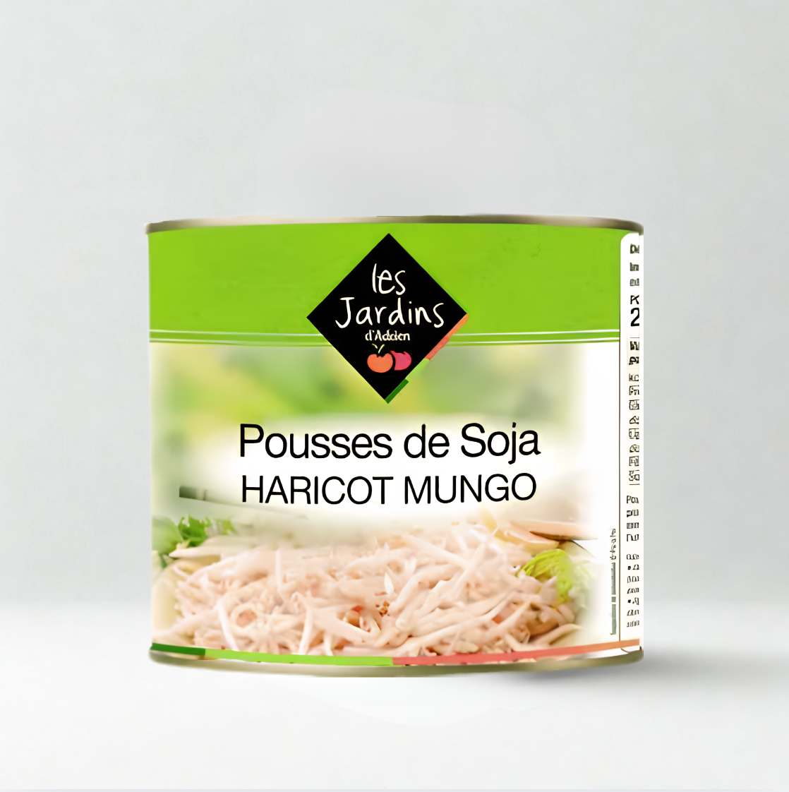 Pousses de Haricot Mungo (pousses de Soja)