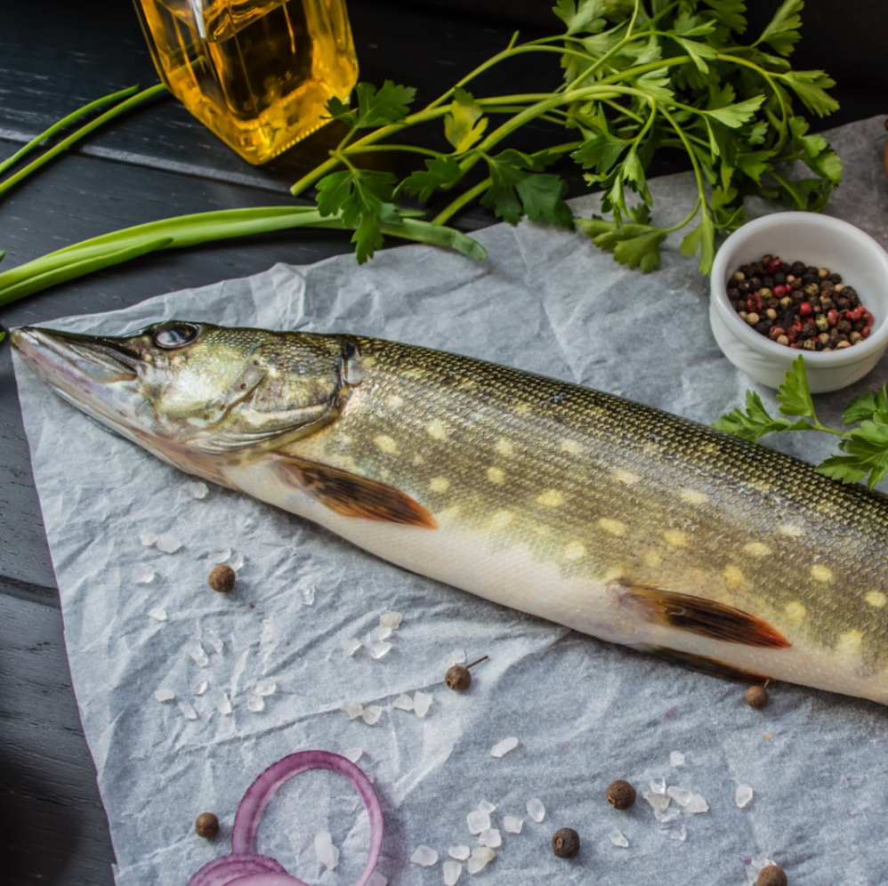 Brochet entier surgelé