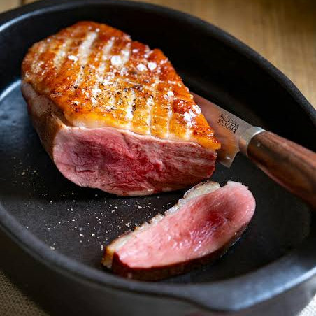 Magret de canard frais