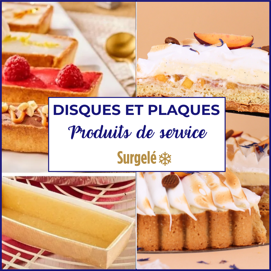 Disques, produits de services et plaques surgelées