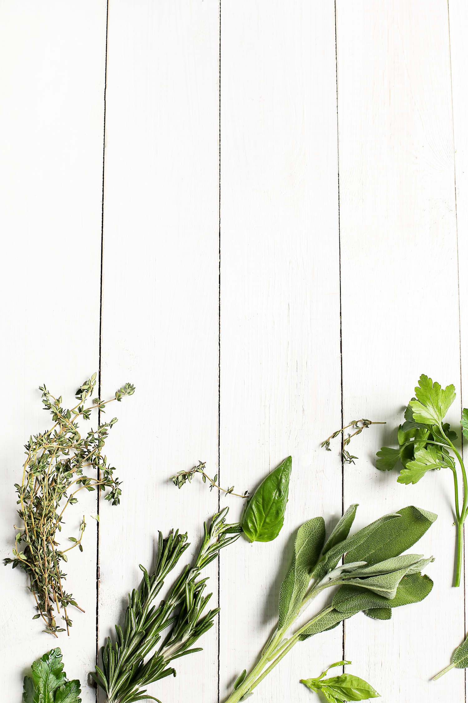 Herbes aromatiques