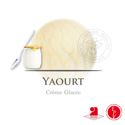 Crème glacée Antolin saveur Yaourt