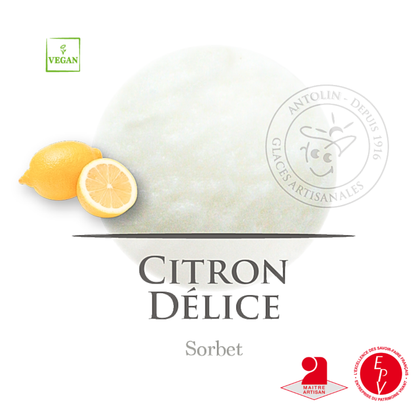 Sorbet Antolin saveur Citron délice