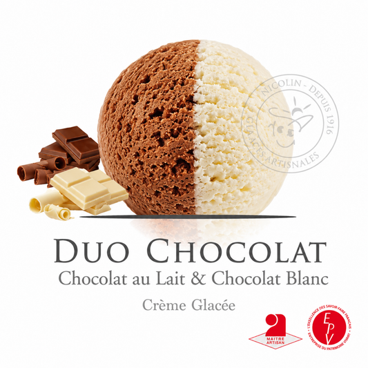 Crème glacée Antolin saveur Duo de chocolat