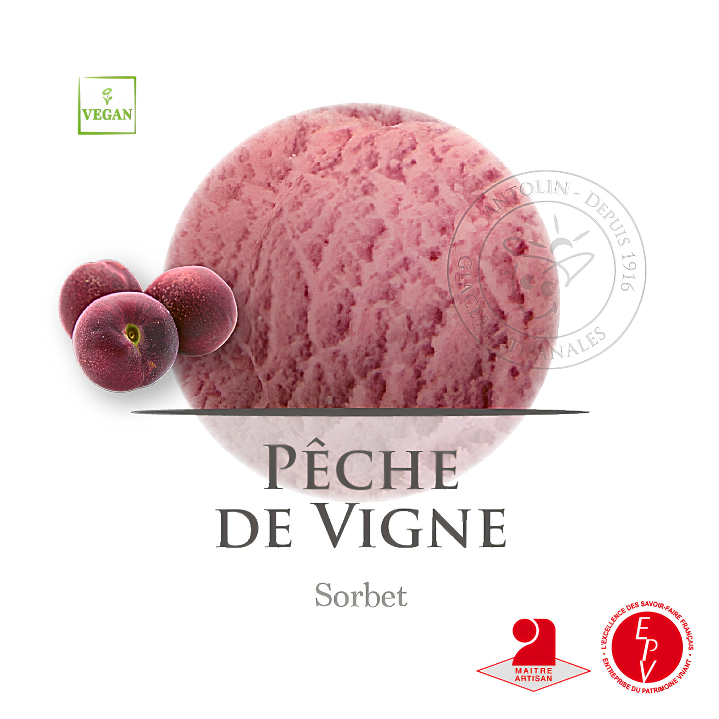 Sorbet Antolin saveur Pêche de vigne