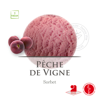 Sorbet Antolin saveur Pêche de vigne
