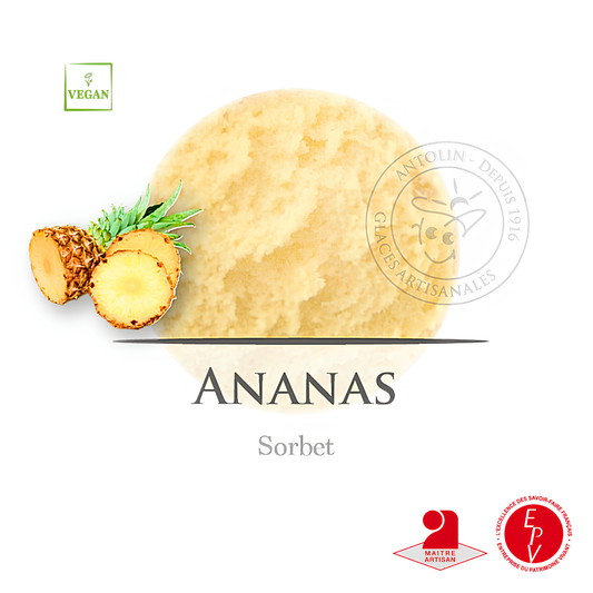 Sorbet Antolin saveur Ananas
