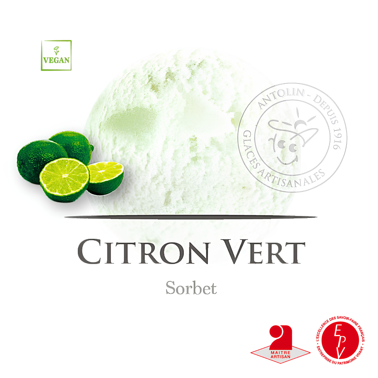 Sorbet Antolin saveur Citron vert