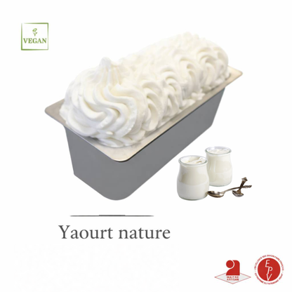 Crème glacée Antolin saveur Yaourt