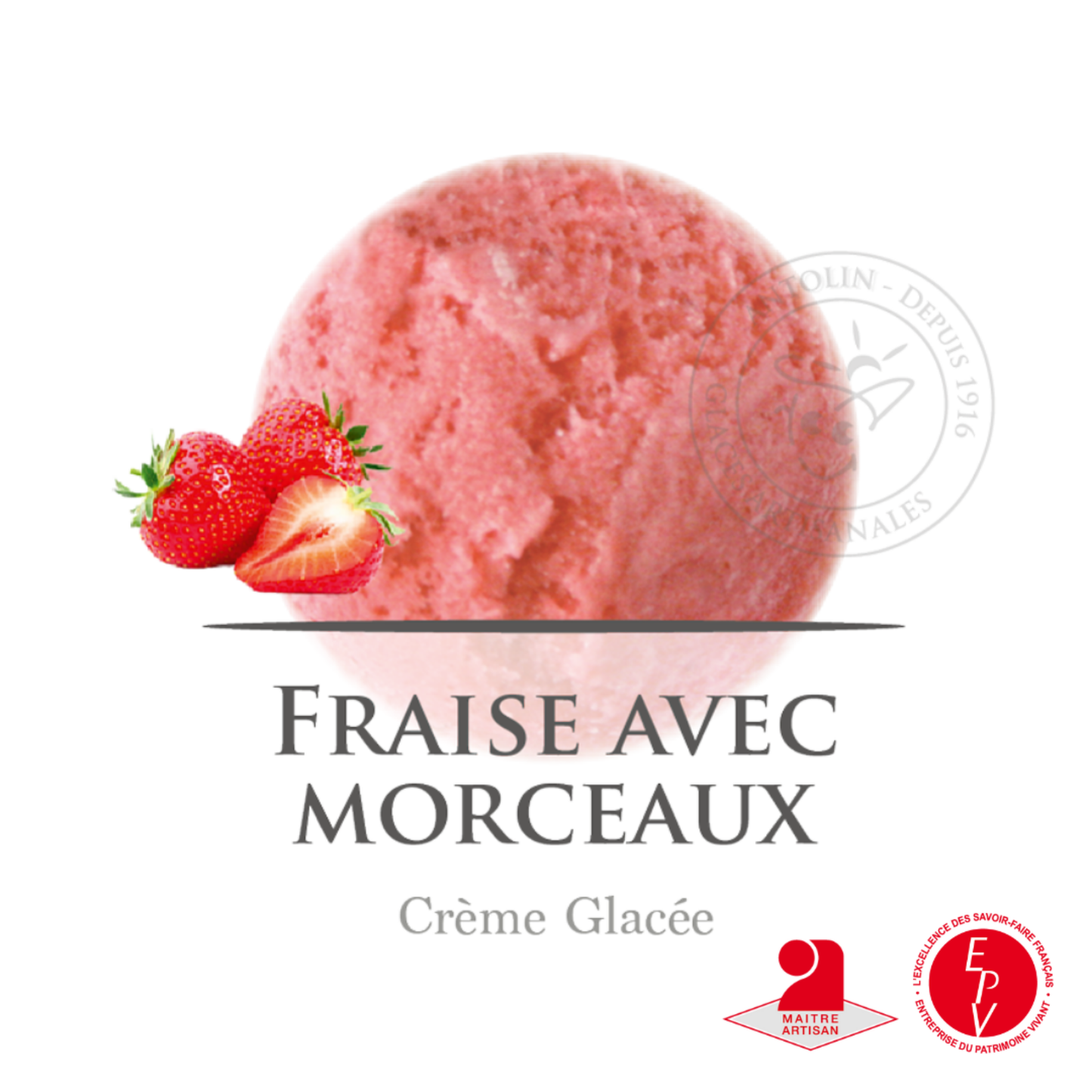 Crème glacé Antolin saveur Fraise morceaux