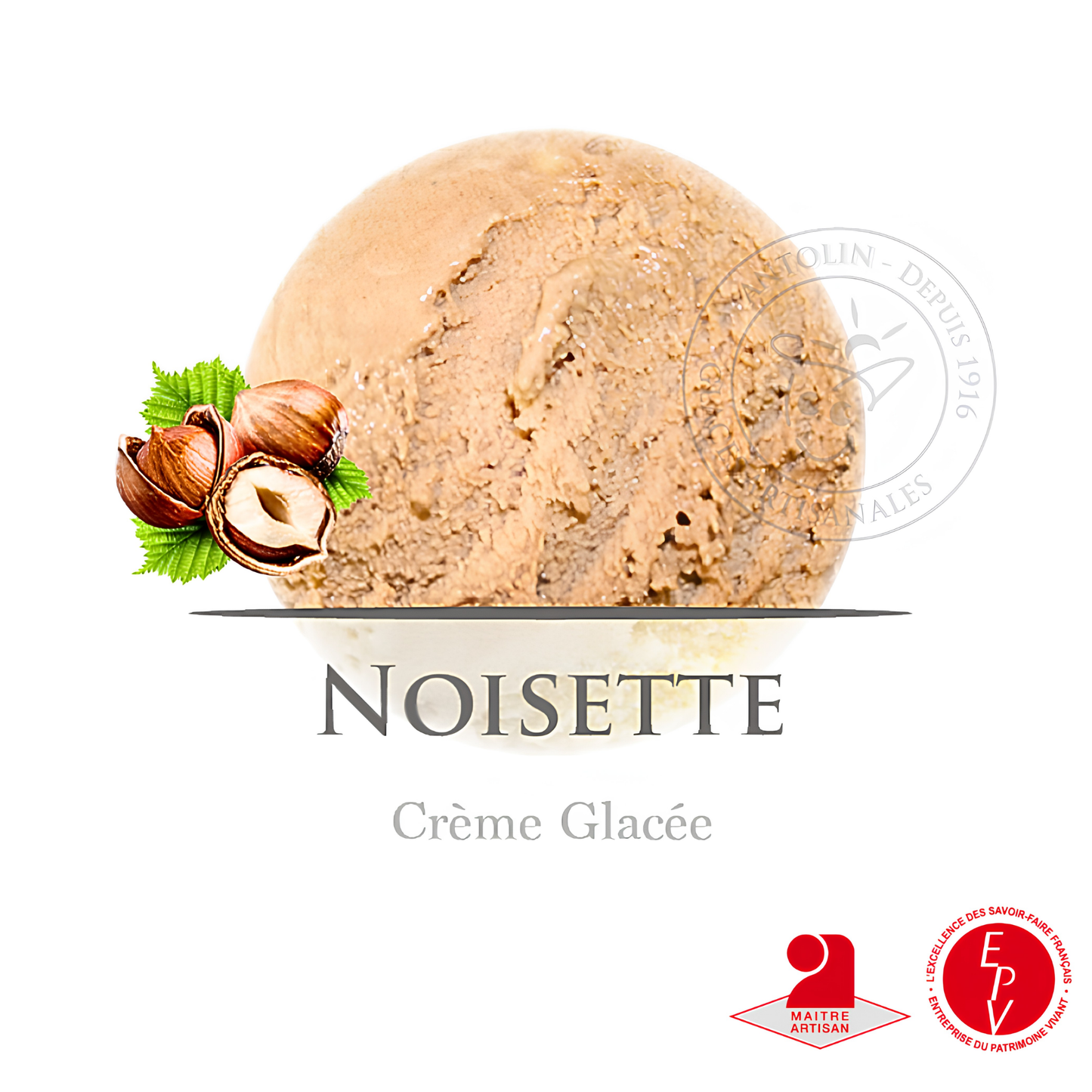 Crème glacée Antolin saveur Noisette
