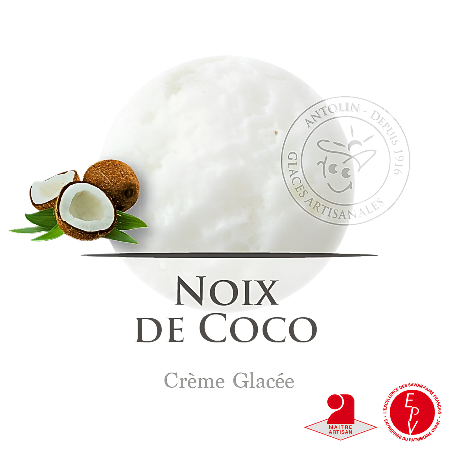 Crème glacée Antolin saveur Noix de coco