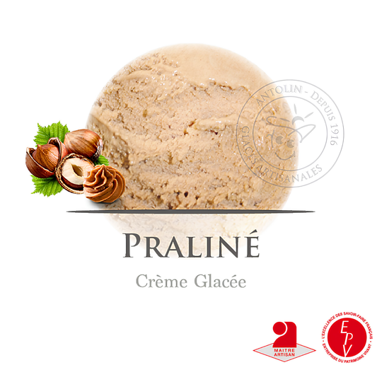 Crème glacée Antolin saveur Praliné