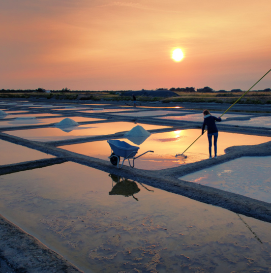 Fleur de sel de Guérande