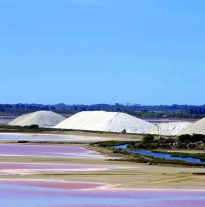 Sel de Camargue