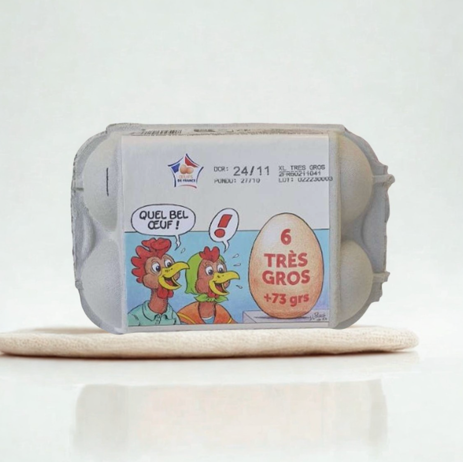 6 oeufs frais très gros