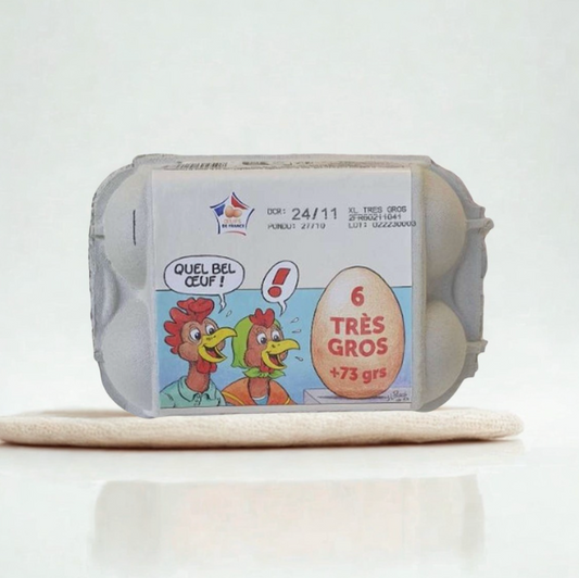 6 oeufs frais très gros