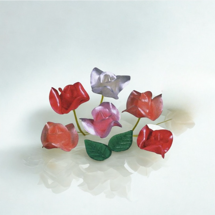 24 roses assorties + 48 feuilles sucrées