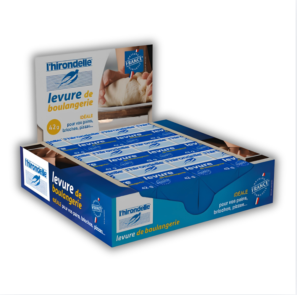 Levure Hirondelle cube