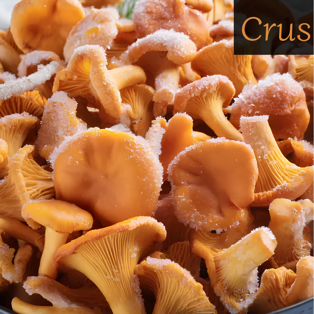 Girolles entière surgelée