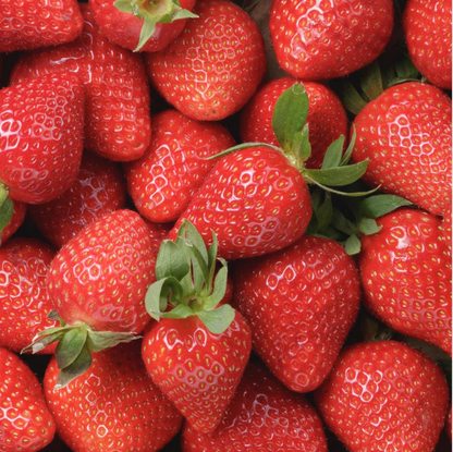 Fraises équeutées surgelés
