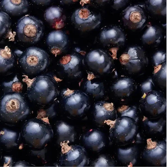 Cassis surgelé