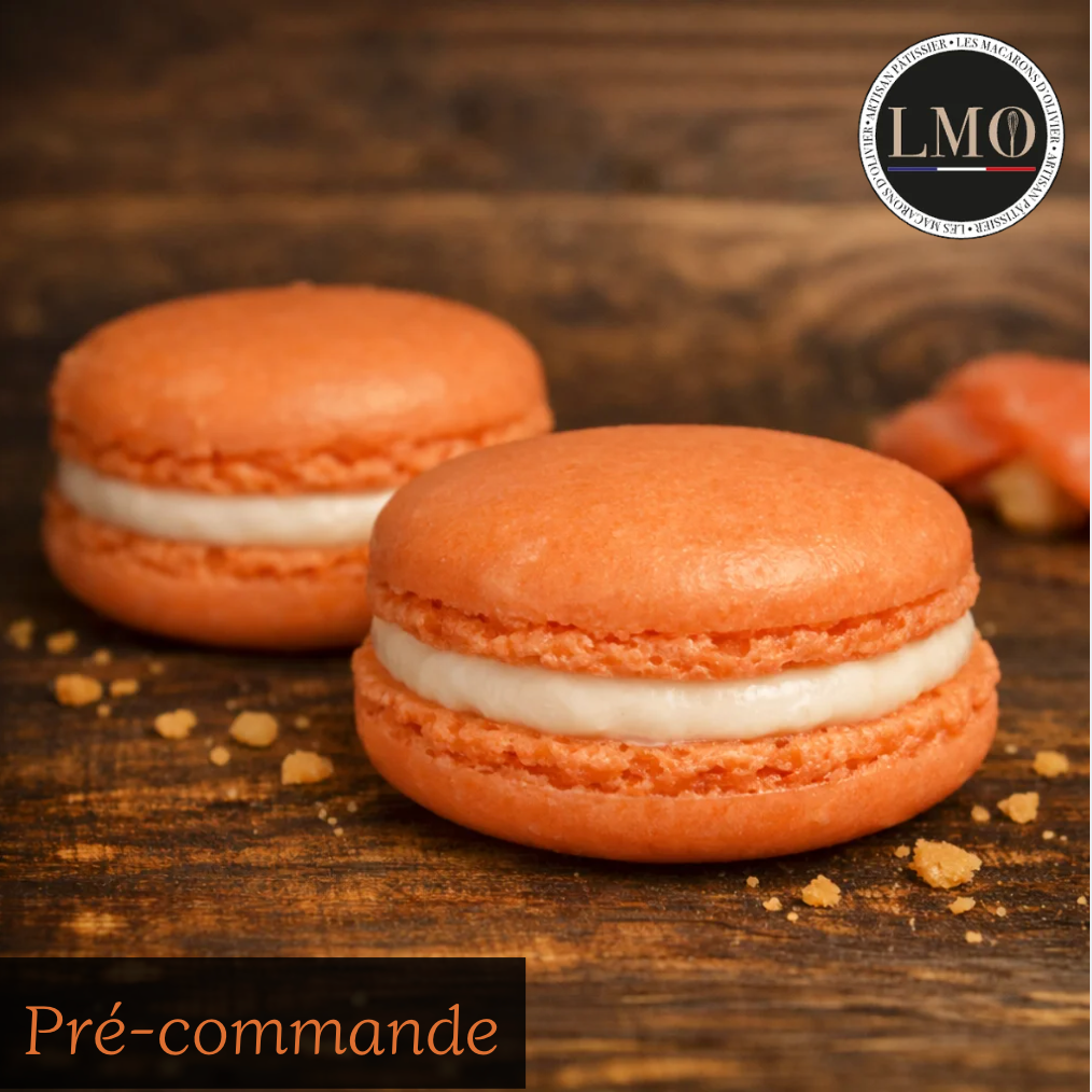Macaron saveur saumon crème d'aneth surgelés