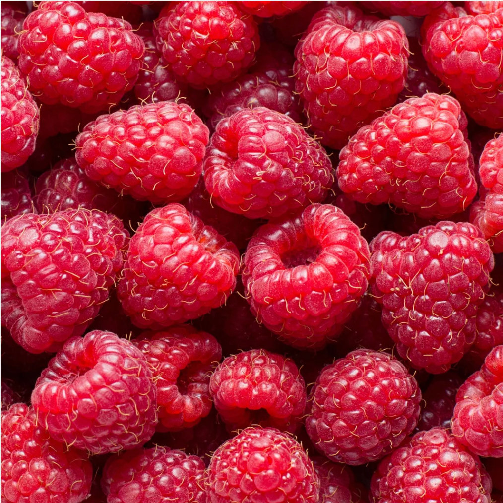 Framboise Meeker surgelées