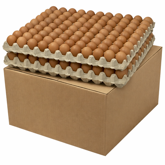 360 Oeufs Breton Gros