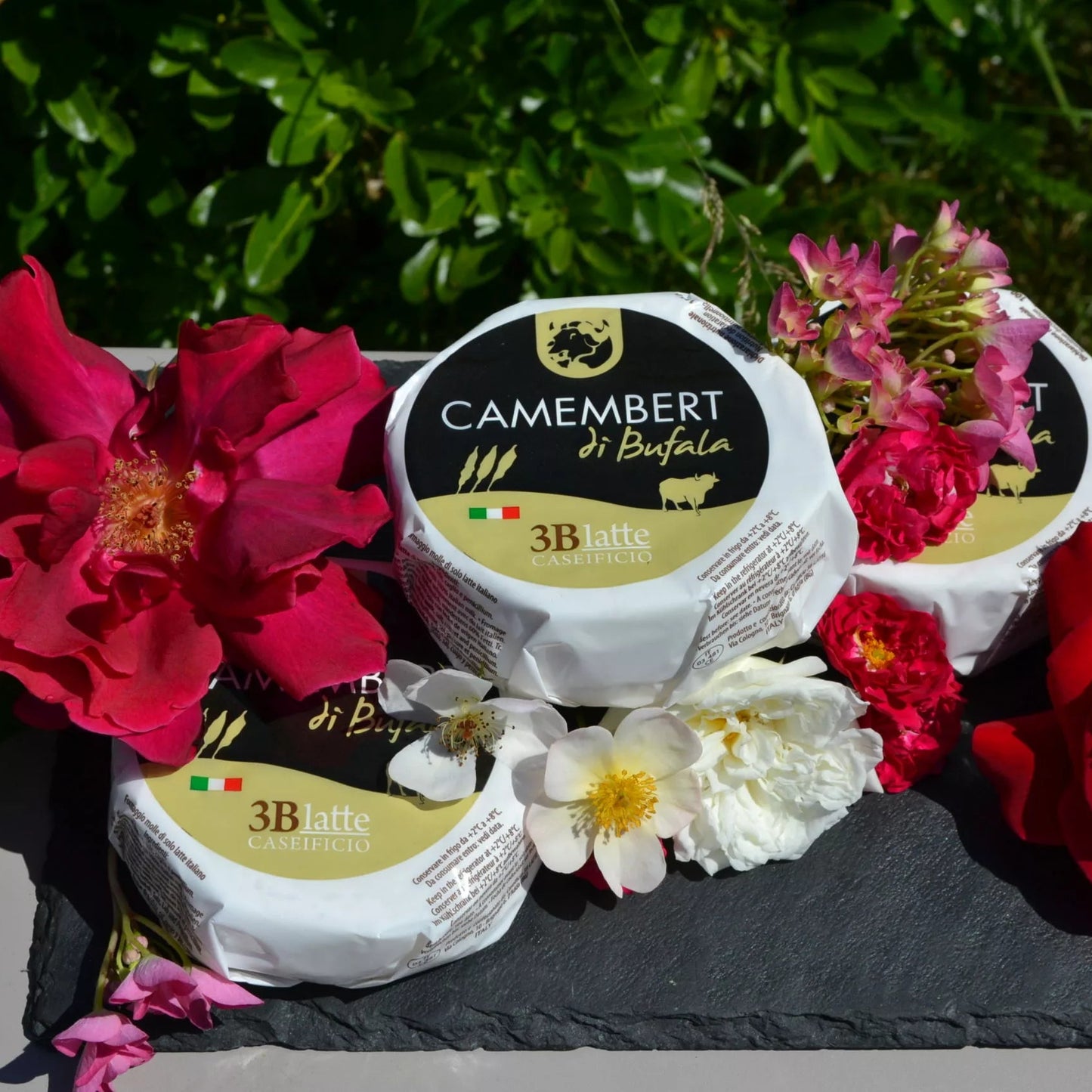 Camembert Di Bufala