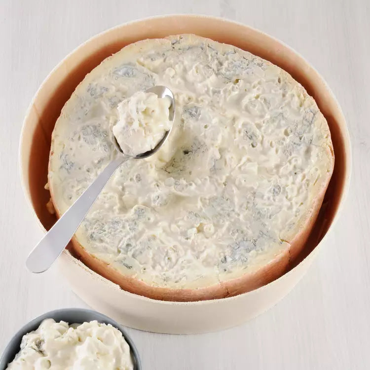 Gorgonzola coffret bois cuillère